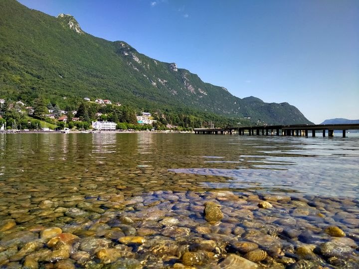 Les rives du lac du Bourget